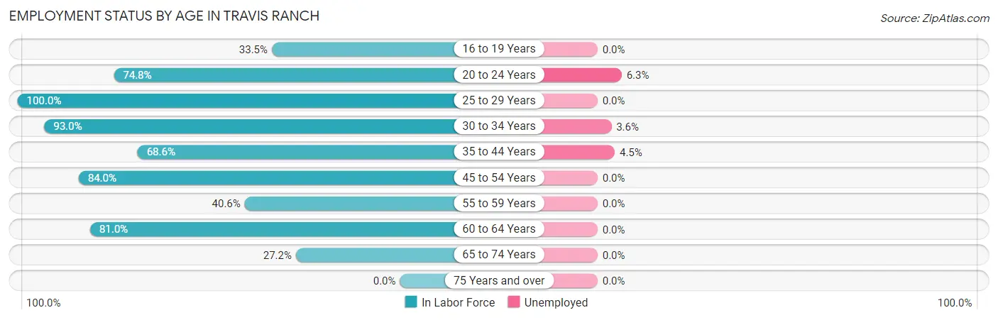 Employment Status by Age in Travis Ranch