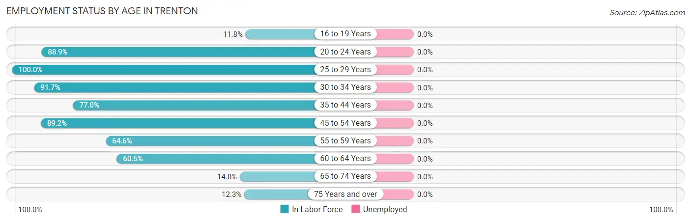 Employment Status by Age in Trenton