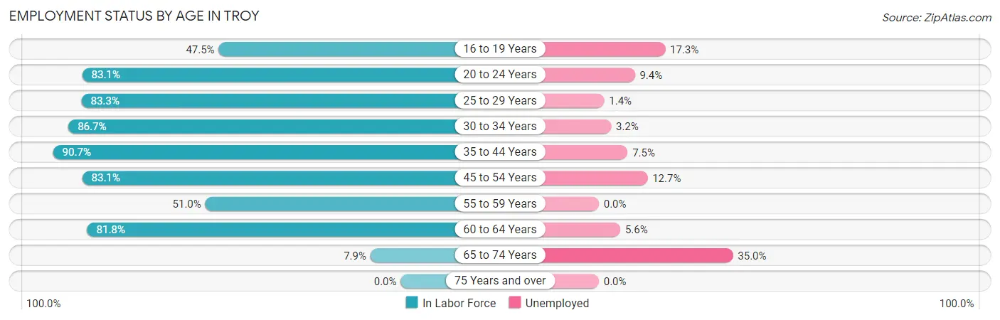 Employment Status by Age in Troy