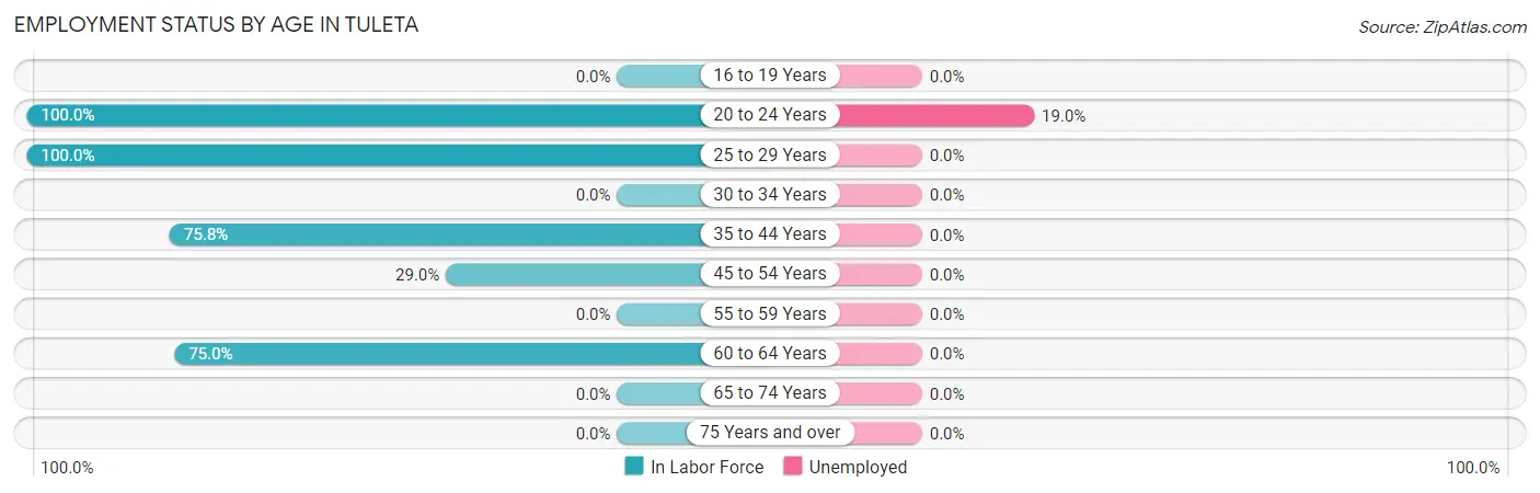 Employment Status by Age in Tuleta