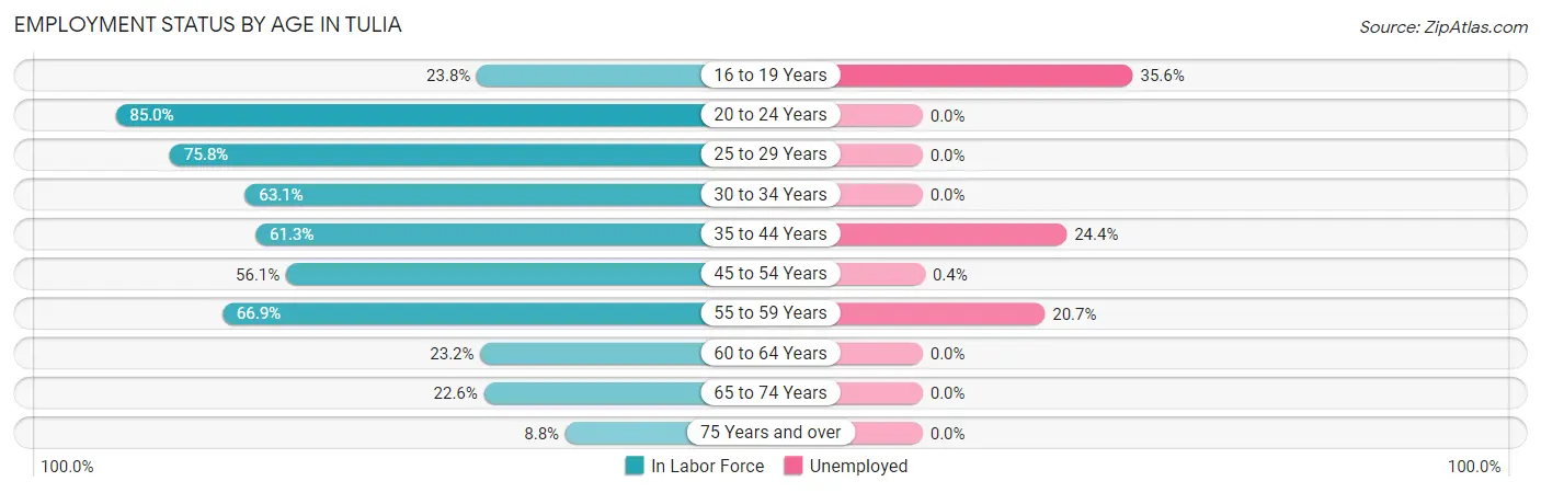 Employment Status by Age in Tulia