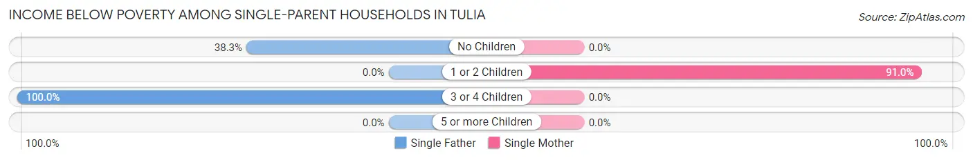 Income Below Poverty Among Single-Parent Households in Tulia