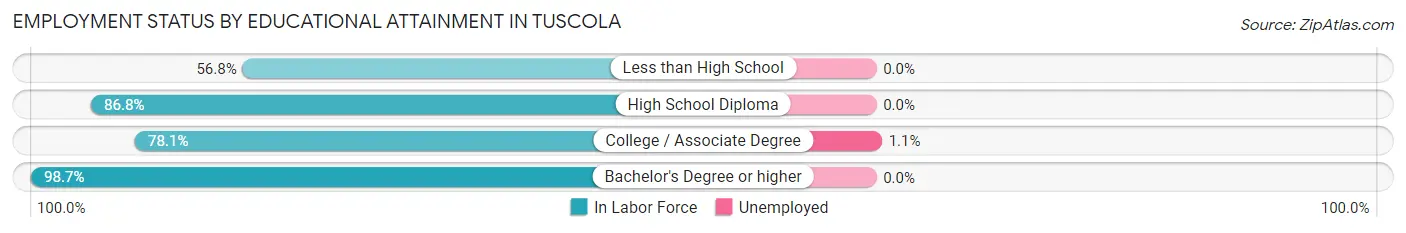Employment Status by Educational Attainment in Tuscola