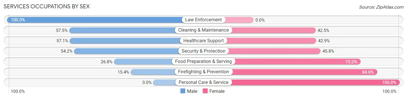 Services Occupations by Sex in Tye