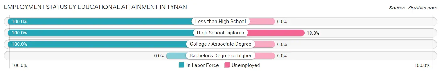 Employment Status by Educational Attainment in Tynan