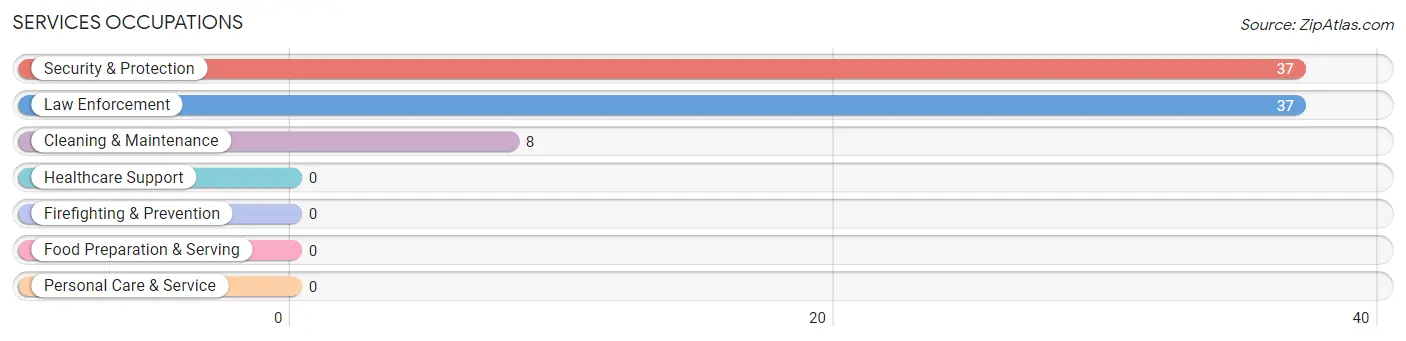 Services Occupations in Tynan