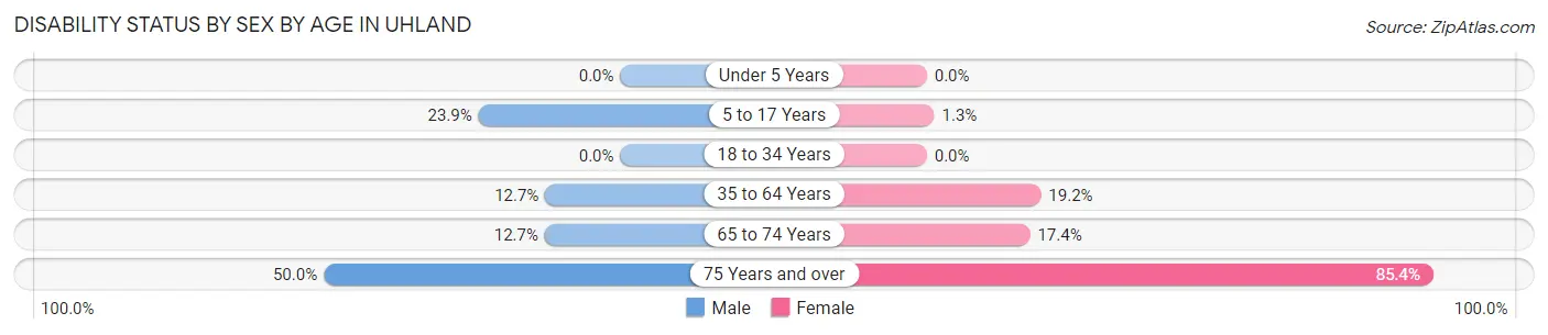 Disability Status by Sex by Age in Uhland