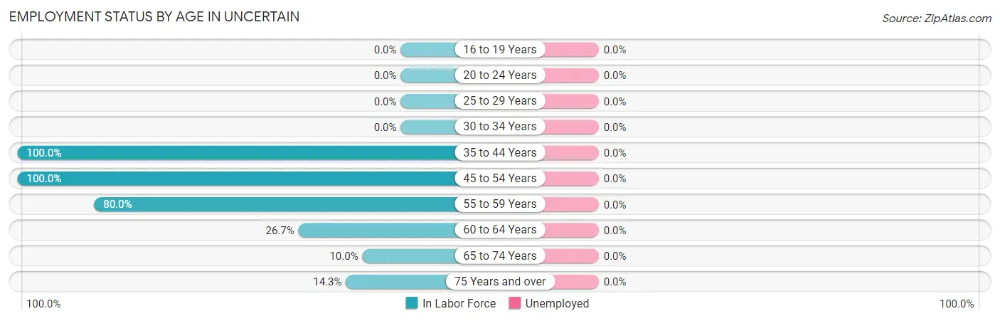 Employment Status by Age in Uncertain