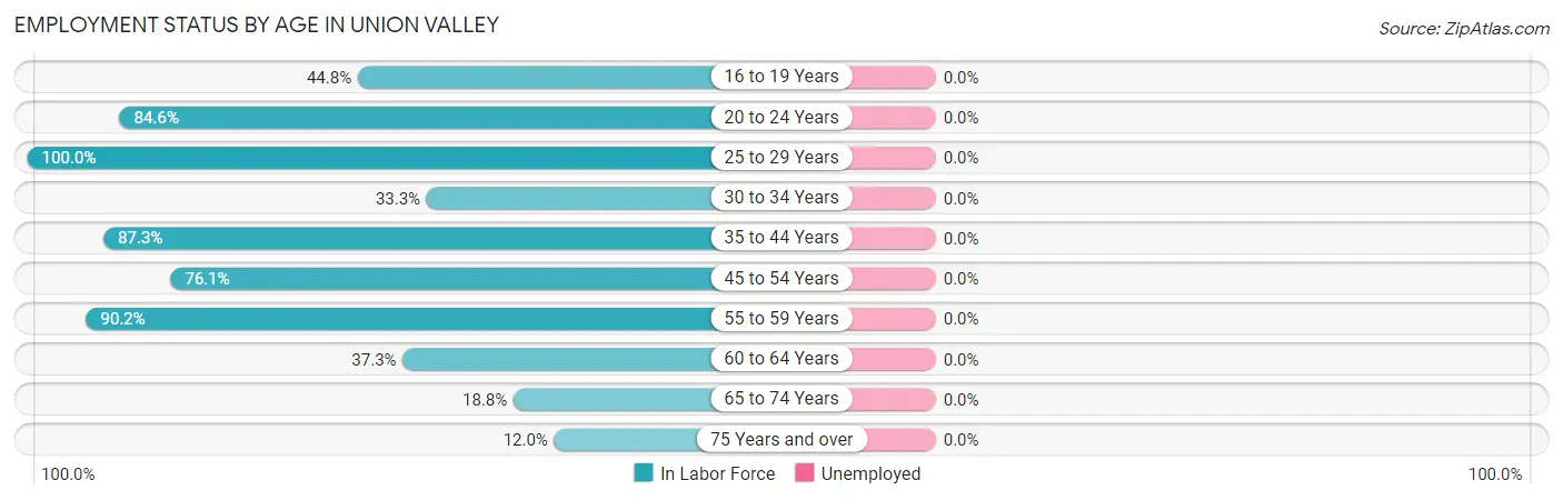 Employment Status by Age in Union Valley