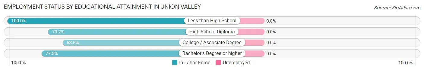 Employment Status by Educational Attainment in Union Valley