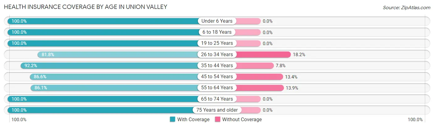 Health Insurance Coverage by Age in Union Valley