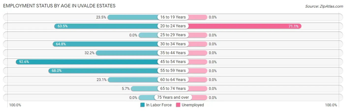 Employment Status by Age in Uvalde Estates