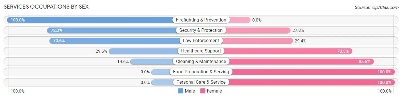 Services Occupations by Sex in Val Verde Park