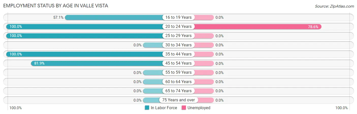 Employment Status by Age in Valle Vista