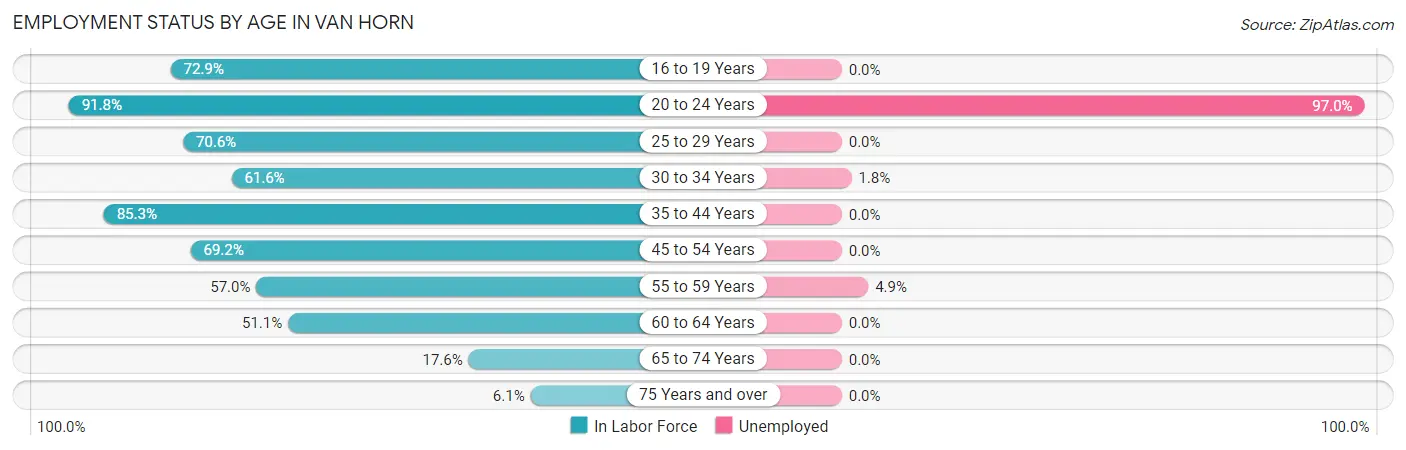 Employment Status by Age in Van Horn