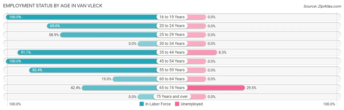 Employment Status by Age in Van Vleck