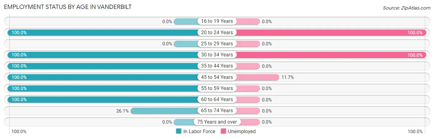 Employment Status by Age in Vanderbilt