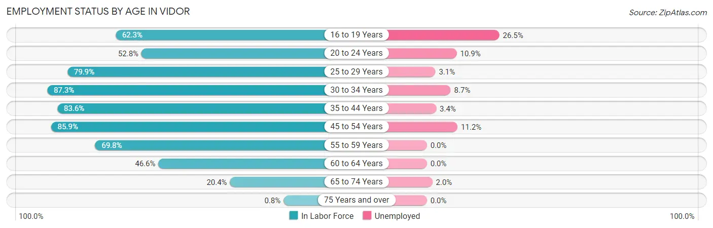 Employment Status by Age in Vidor