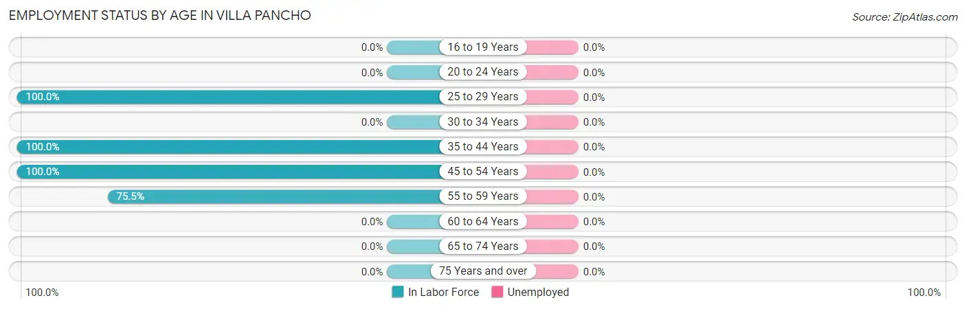 Employment Status by Age in Villa Pancho