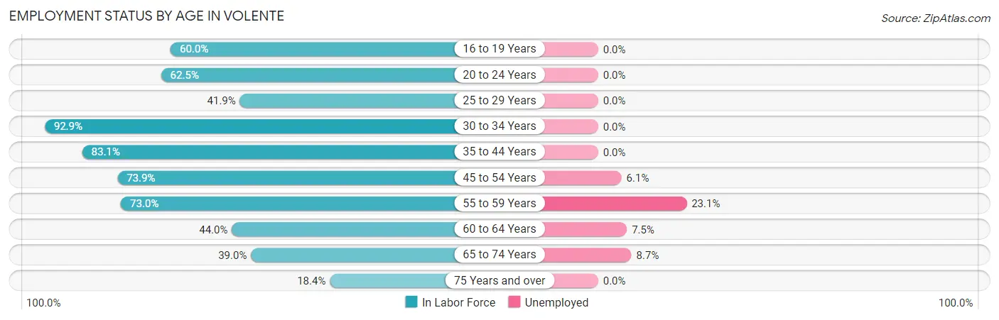Employment Status by Age in Volente