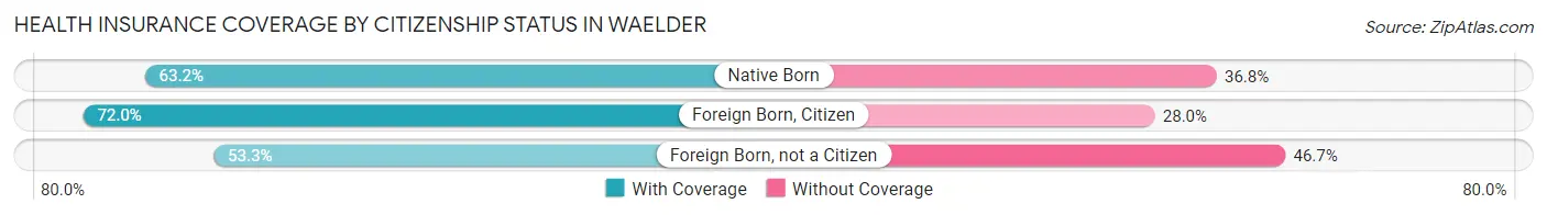 Health Insurance Coverage by Citizenship Status in Waelder
