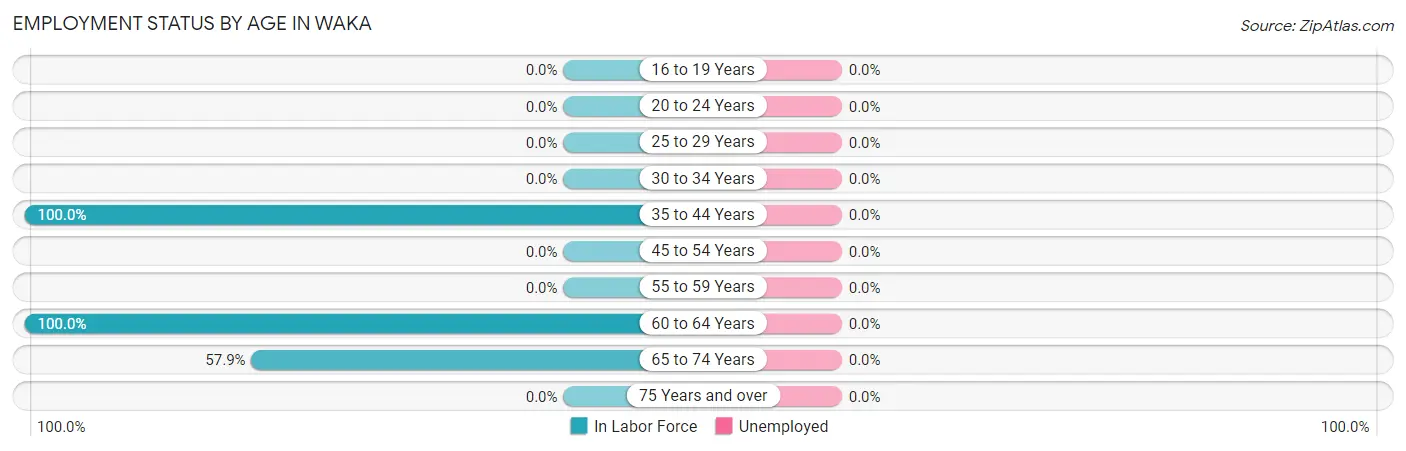 Employment Status by Age in Waka