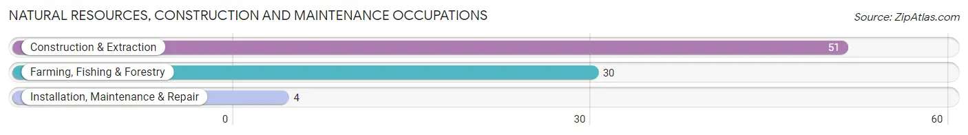 Natural Resources, Construction and Maintenance Occupations in Walnut Springs