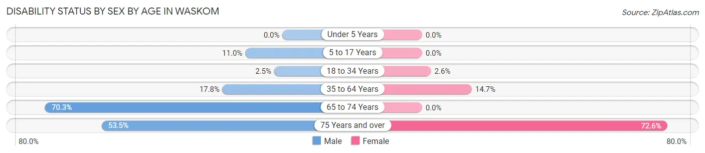 Disability Status by Sex by Age in Waskom
