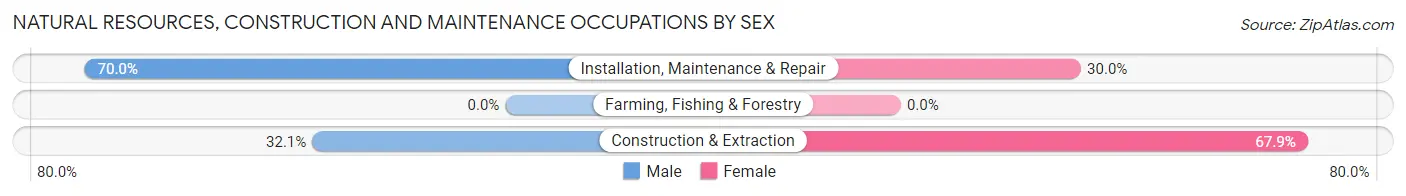 Natural Resources, Construction and Maintenance Occupations by Sex in Webberville
