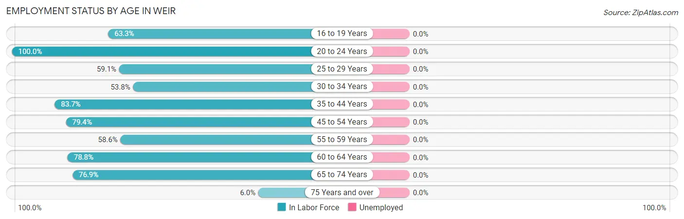 Employment Status by Age in Weir
