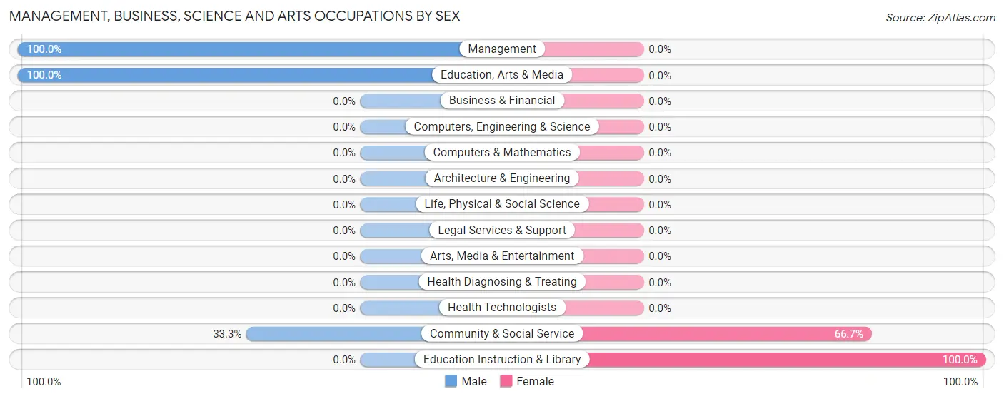 Management, Business, Science and Arts Occupations by Sex in Welch