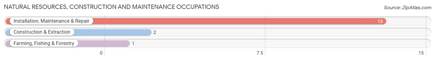 Natural Resources, Construction and Maintenance Occupations in Welch