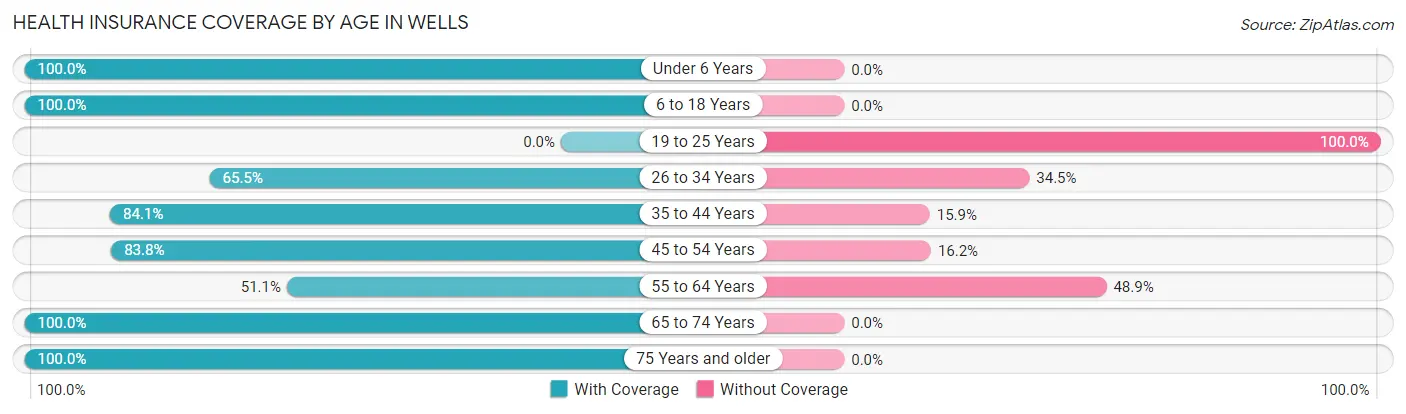Health Insurance Coverage by Age in Wells