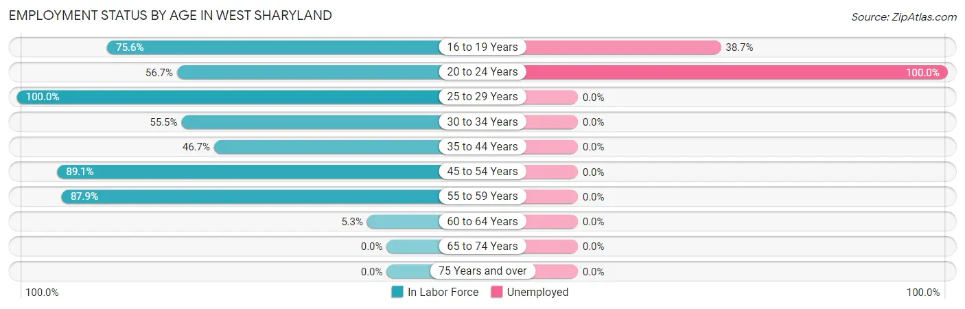 Employment Status by Age in West Sharyland