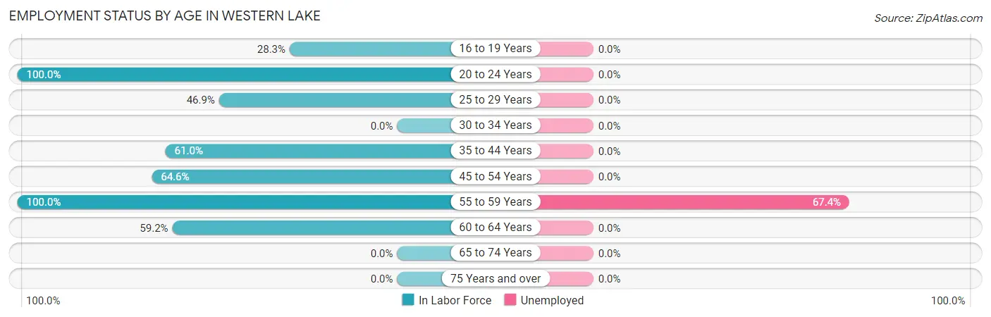 Employment Status by Age in Western Lake