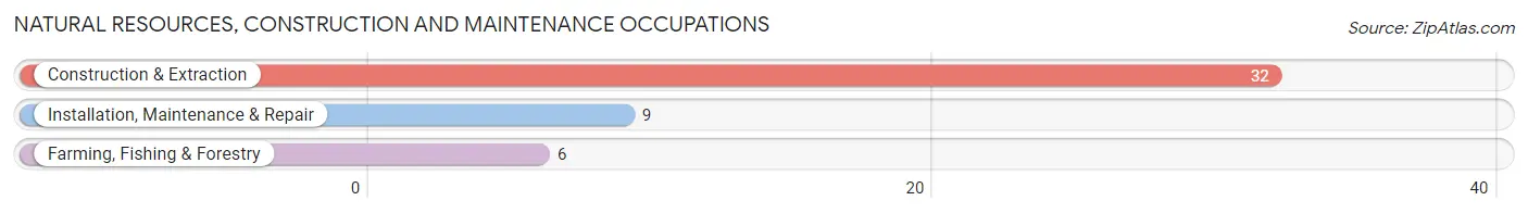 Natural Resources, Construction and Maintenance Occupations in White Deer