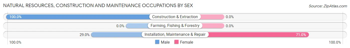 Natural Resources, Construction and Maintenance Occupations by Sex in Wild Peach Village