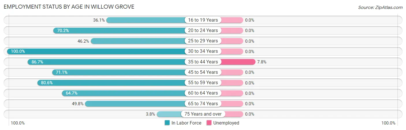Employment Status by Age in Willow Grove