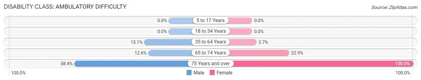 Disability in Wilmer: <span>Ambulatory Difficulty</span>