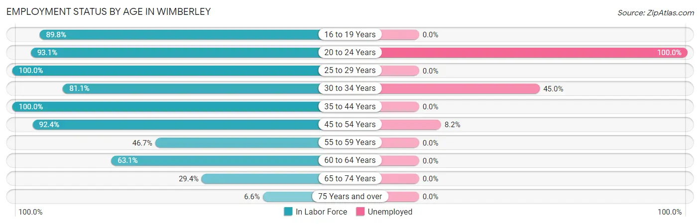 Employment Status by Age in Wimberley