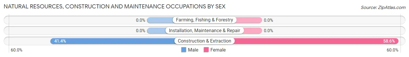 Natural Resources, Construction and Maintenance Occupations by Sex in Wimberley