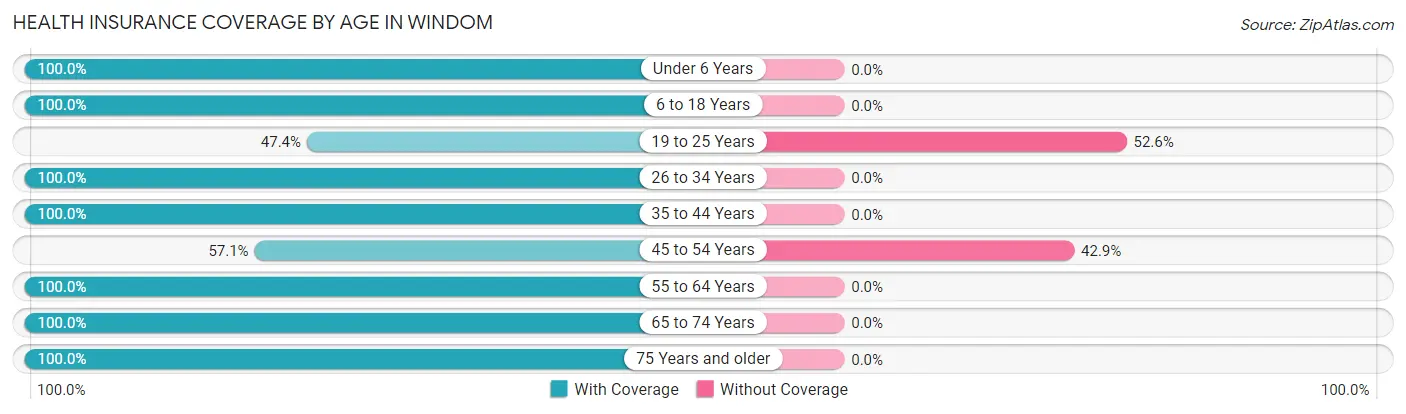 Health Insurance Coverage by Age in Windom