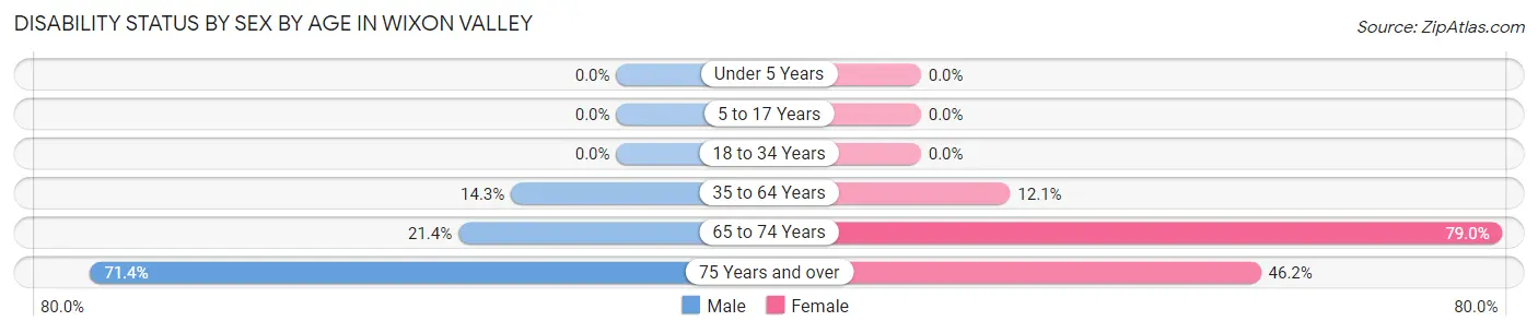 Disability Status by Sex by Age in Wixon Valley