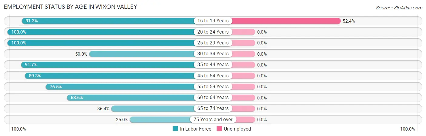 Employment Status by Age in Wixon Valley