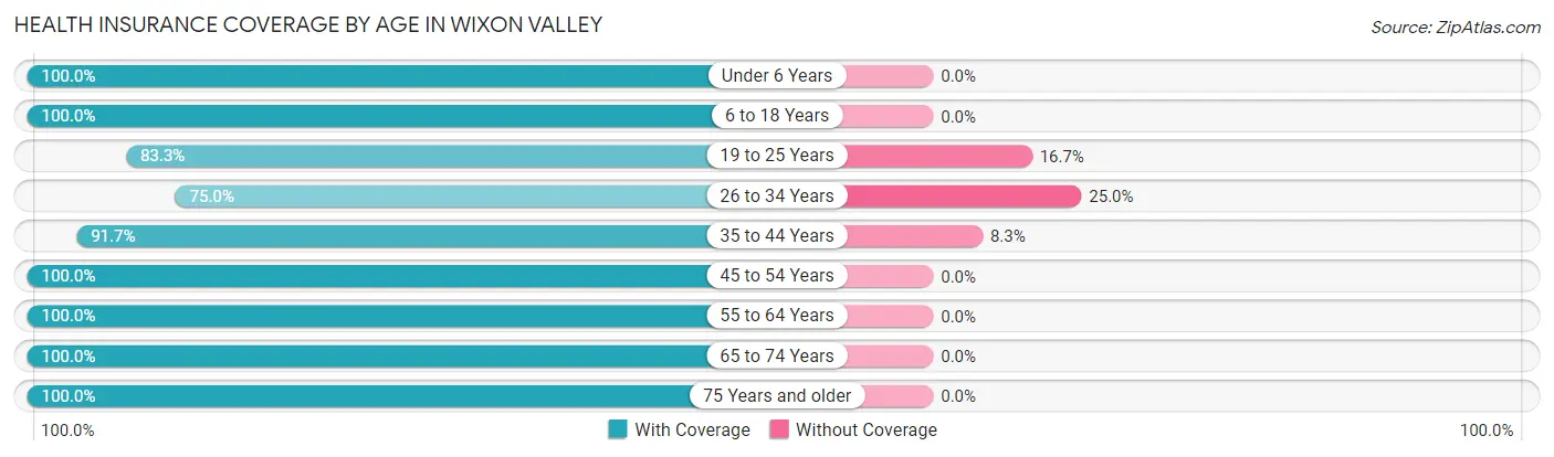 Health Insurance Coverage by Age in Wixon Valley