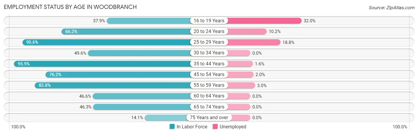 Employment Status by Age in Woodbranch