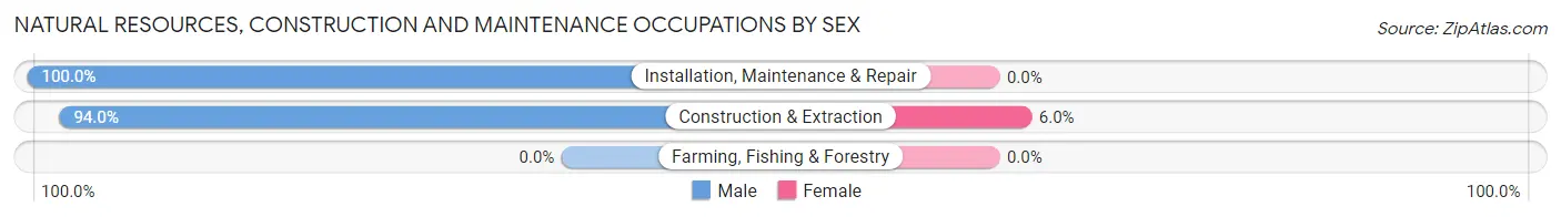 Natural Resources, Construction and Maintenance Occupations by Sex in Woodbranch