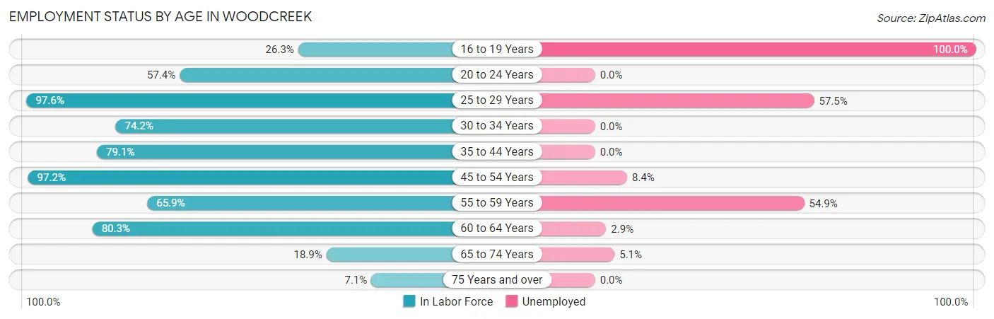 Employment Status by Age in Woodcreek