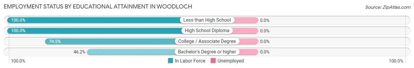 Employment Status by Educational Attainment in Woodloch