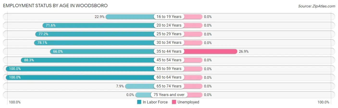 Employment Status by Age in Woodsboro